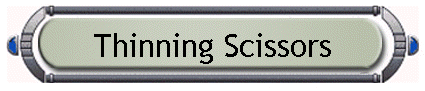 Thinning Scissors