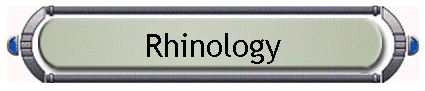Rhinology