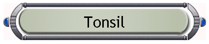 Tonsil